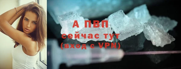 прущие крисы Беломорск
